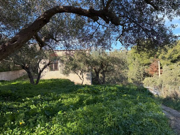 Villa singola Ventimiglia di Sicilia, PA Vendita - Foto 4