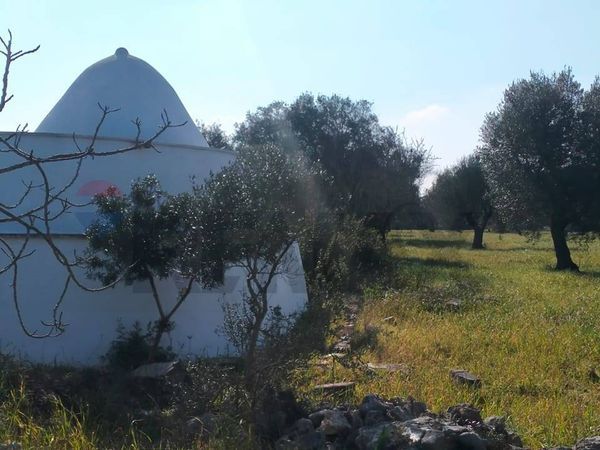 Baita/Chalet/Trullo San Vito dei Normanni, BR Vendita - Foto 2