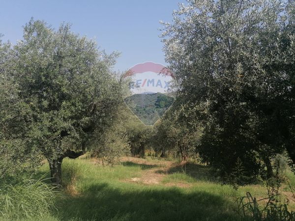 Terreno Edificabile Valleiuta, Moscufo, PE Vendita - Foto 2