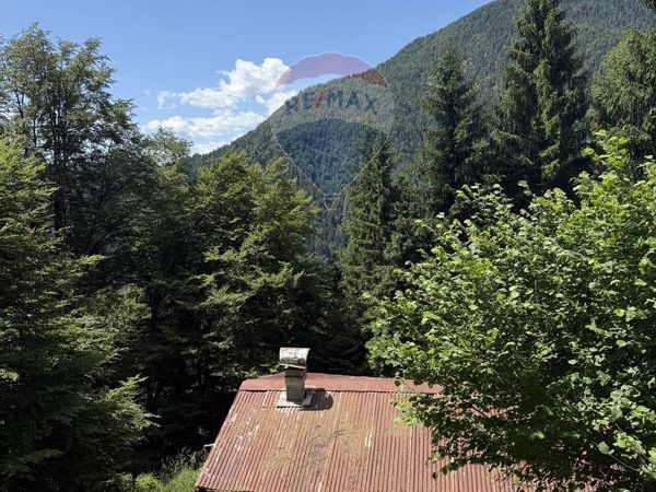 Rustico Rizzios, Calalzo di Cadore, BL Vendita - Foto 4