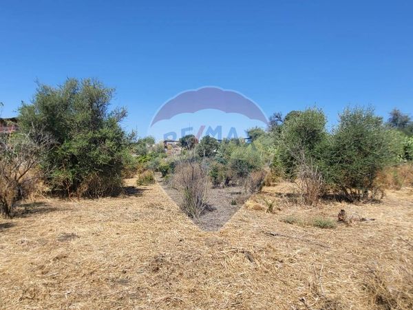 Terreno Edificabile Paternò, CT Vendita - Foto 3