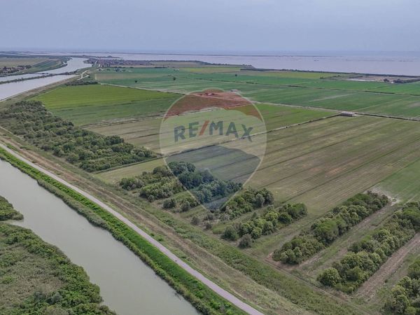 Terreno Goro, FE Vendita - Foto 3