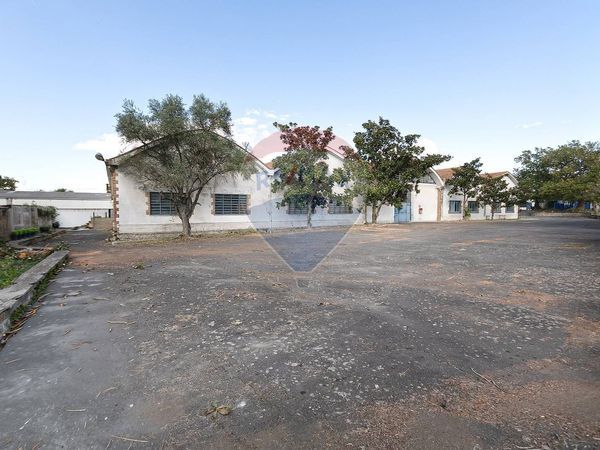 Capannone Industriale Periferia, Viterbo, VT Affitto - Foto 4