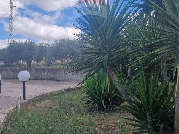 Villa o villino San Michele di Ganzaria, CT Vendita - Foto 3