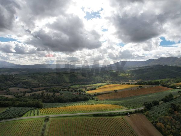 Azienda Agricola Torregrosso, Castel Ritaldi, PG Vendita