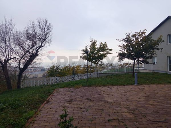 Casa Indipendente Torrette Di Ancona, Ancona, AN Affitto - Foto 3