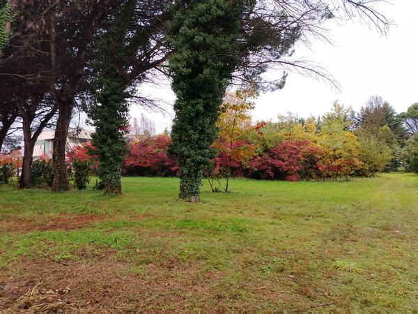 Terreno Edificabile Cassano Magnago, VA Vendita - Foto 2