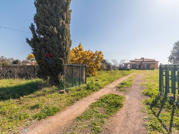 Villa singola Campagna Montalto Di Castro, Montalto di Castro, VT Vendita - Foto 4