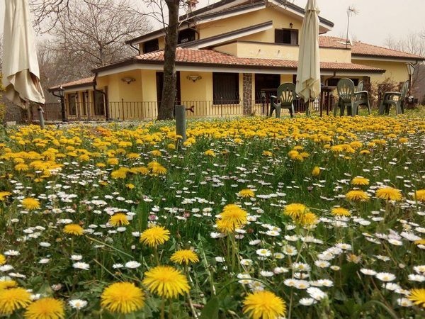 Cascina/Casale Roccamonfina, CE Vendita