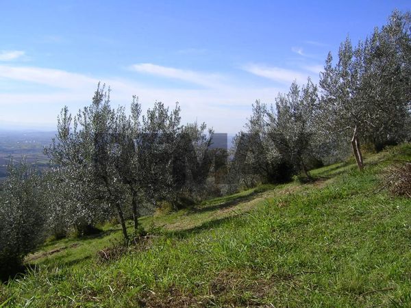 Rustico Pieve San Nicolò, Assisi, PG Vendita - Foto 4