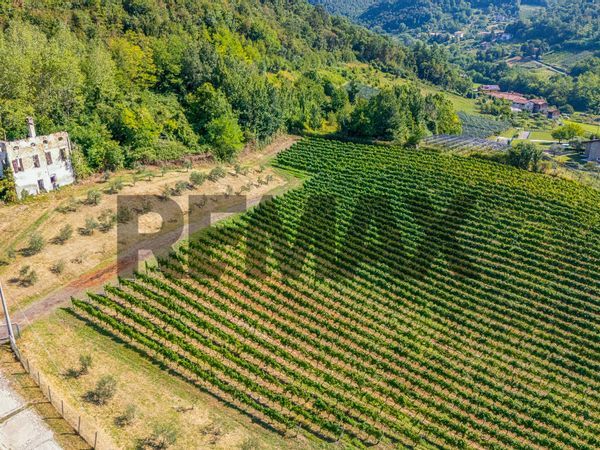 Terreno Trescore Balneario, BG Vendita - Foto 4