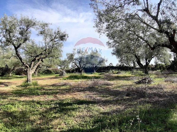 Villetta bifamiliare Ladispoli, RM Vendita - Foto 4