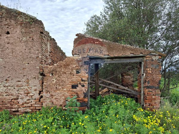 Rustico Paternò, CT Vendita - Foto 4