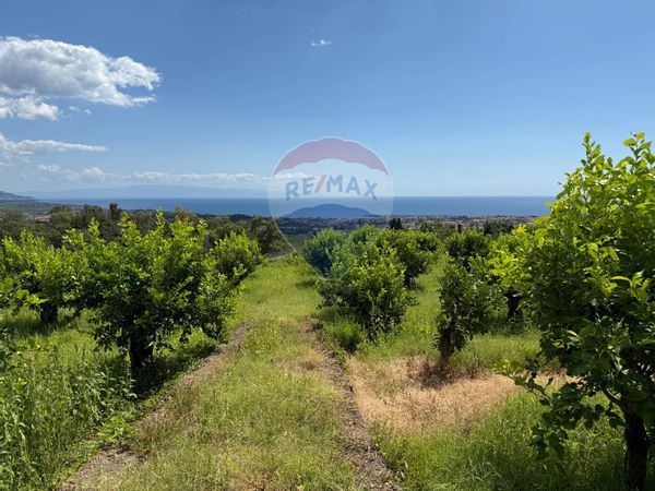 Cascina/Casale Giarre, CT Vendita - Foto 4