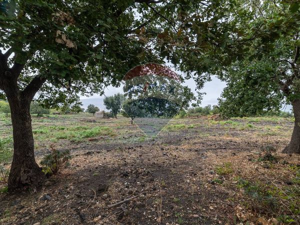 Terreno Montelaguardia, Randazzo, CT Vendita