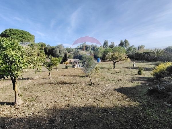 Rustico Sant'Antioco, SU Vendita - Foto 4