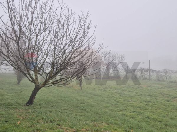 Villa singola Malborghetto, Ferrara, FE Vendita - Foto 3