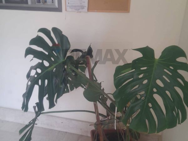 Appartamento San Cataldo, CL Vendita - Foto 3