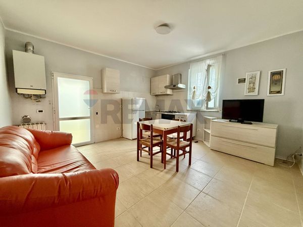 Casa Semindipendente Castelvetro Piacentino, PC Vendita - Foto 3