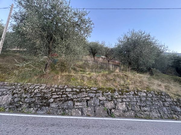 Terreno Malcesine, VR Vendita - Foto 4
