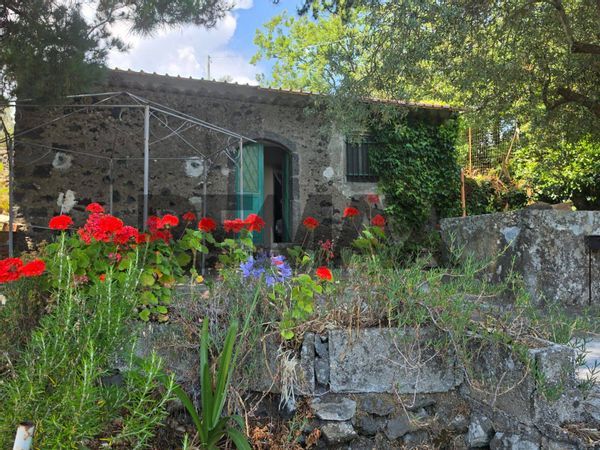 Casa Indipendente Piedimonte Etneo, CT Vendita - Foto 2