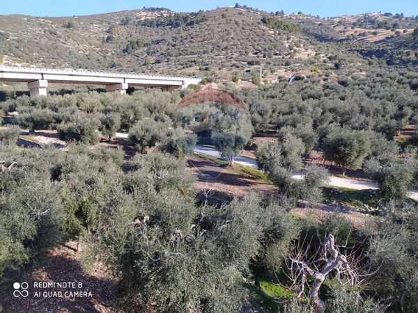 Terreno Mattinata, FG Vendita - Foto 3