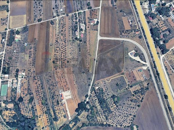 Terreno Edificabile Altamura, BA Vendita - Foto 4