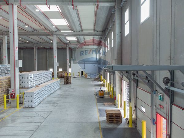 Capannone Industriale Nogarole Rocca, VR Affitto - Foto 3