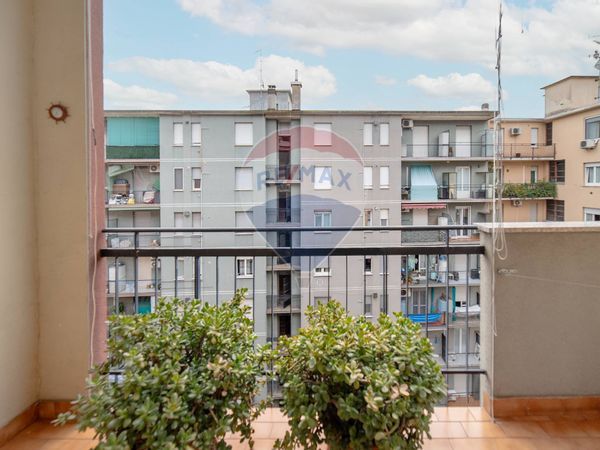 Appartamento Cinisello, Cinisello Balsamo, MI Vendita - Foto 3