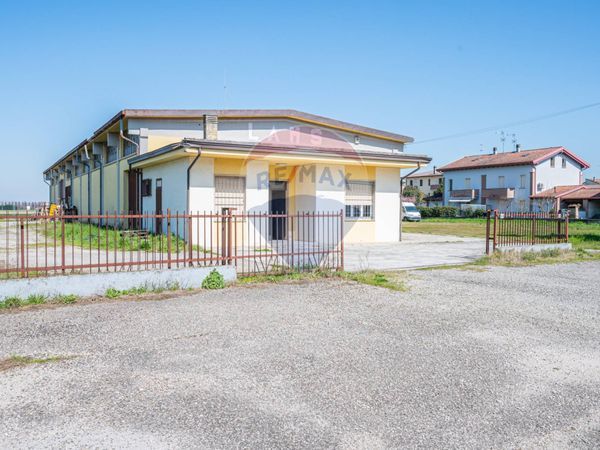 Altro Cogozzo, Viadana, MN Vendita