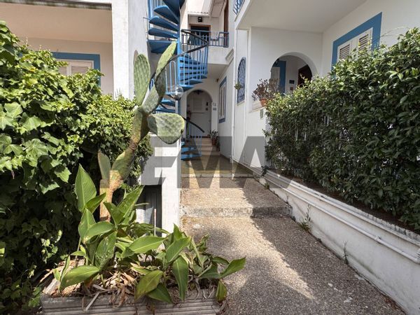 Appartamento Santa Severa, Santa Marinella, RM Vendita - Foto 2