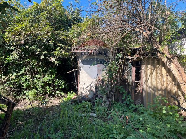 Terreno Edificabile Belgioioso, PV Vendita - Foto 4