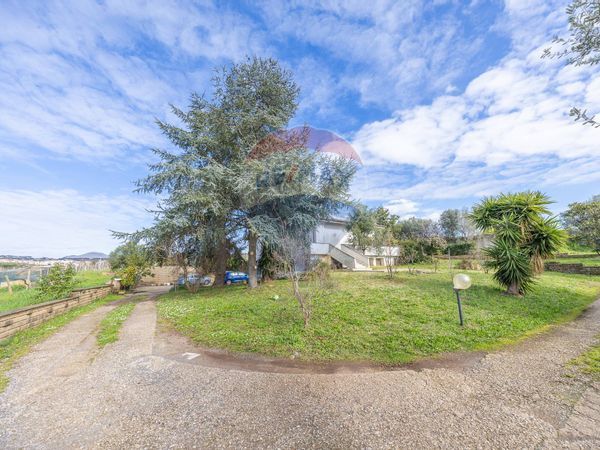 Villa singola Albano Laziale, RM Vendita - Foto 2