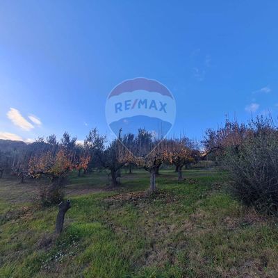 Terreno Extraurbana, Francavilla al Mare, CH Vendita - Foto 7