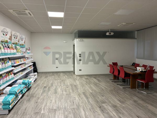 Capannone Industriale Albaredo d'Adige, VR Vendita - Foto 4