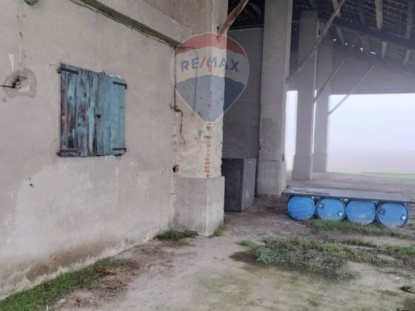 Cascina/Casale Cascinino con Bombardone, Zinasco, PV Vendita - Foto 4