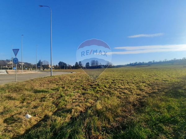 Terreno Edificabile Pecetto di Valenza, AL Vendita - Foto 2