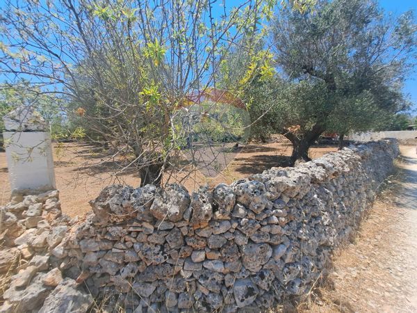 Baita/Chalet/Trullo Ostuni, BR Vendita - Foto 4