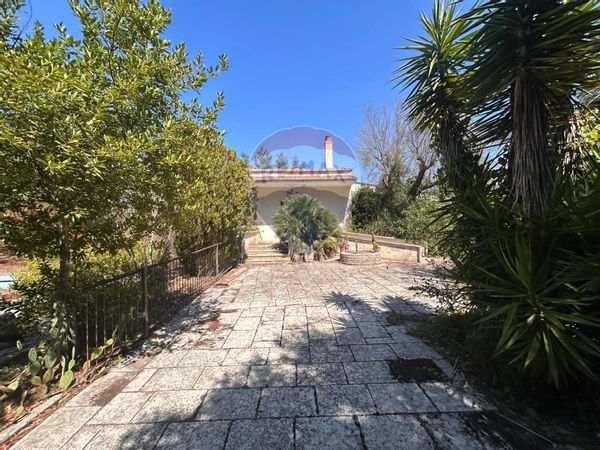 Villa singola Novoli, LE Vendita - Foto 2