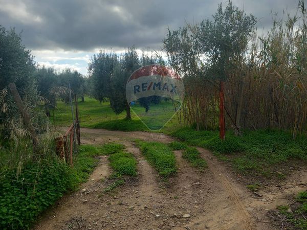 Terreno Dolianova, SU Vendita