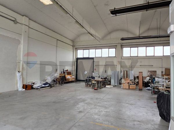 Capannone Industriale Serravalle, Riva del Po, FE Vendita - Foto 2