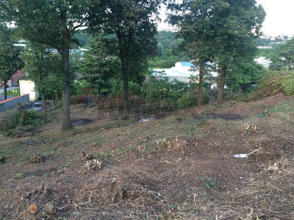 Terreno Edificabile Jerago con Orago, VA Vendita - Foto 3