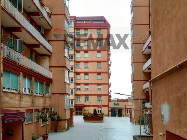 Appartamento Centro, Frosinone, FR Affitto