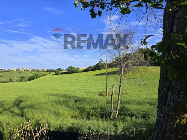 Terreno Sant'Elpidio a Mare, FM Vendita - Foto 4