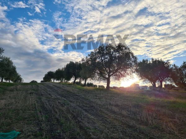 Terreno Alba Adriatica, TE Vendita - Foto 2
