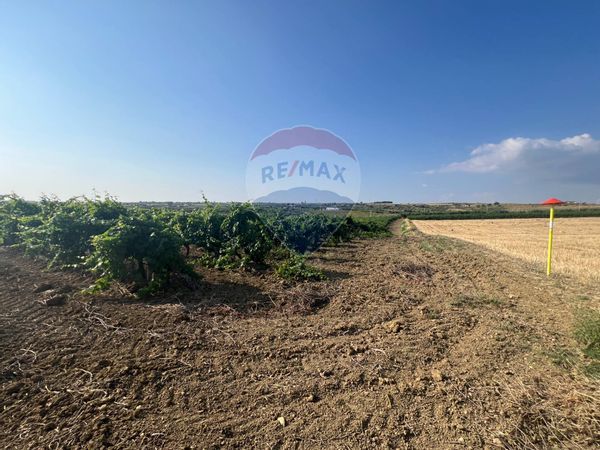 Terreno Edificabile Menfi, AG Vendita - Foto 4