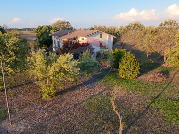 Villa o villino San Felice sul Panaro, MO Vendita