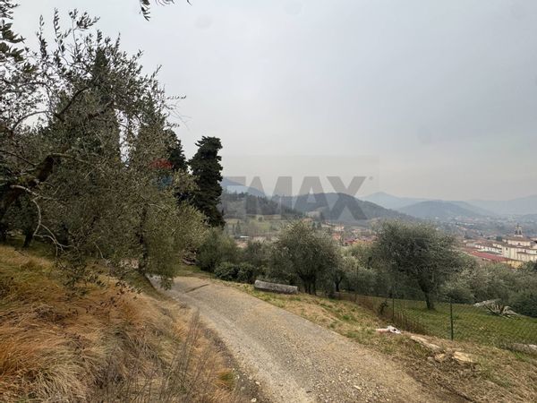 Terreno Edificabile Cenate Sopra, BG Vendita - Foto 2