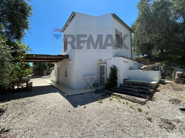 Villa o villino Vico del Gargano, FG Vendita - Foto 4