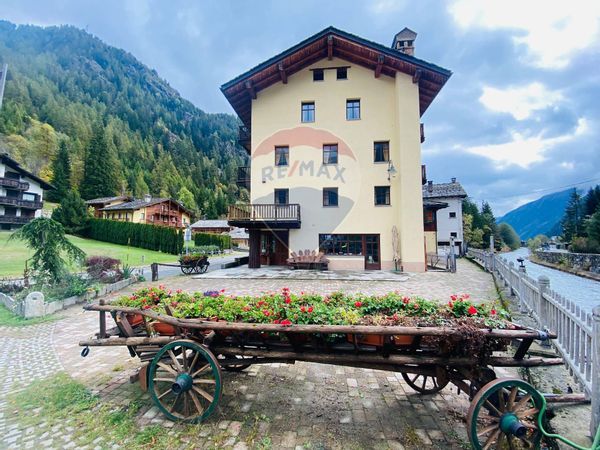 Albergo/Hotel Gressoney-Saint-Jean, AO Vendita - Foto 3